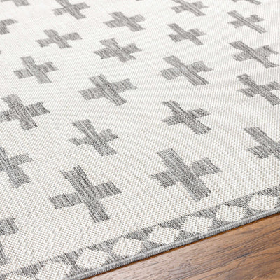 Kyna Gray Area Rug - Clearance