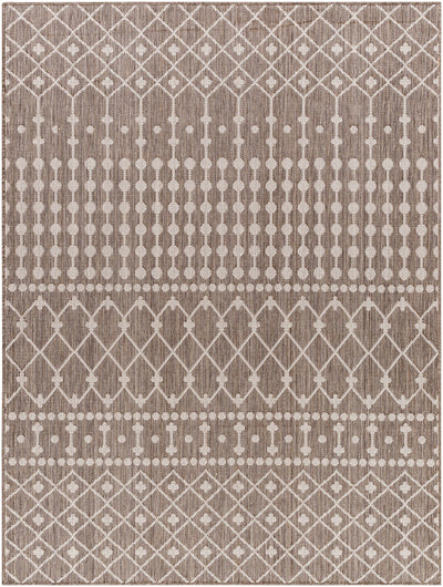 Lali Brown Area Rug