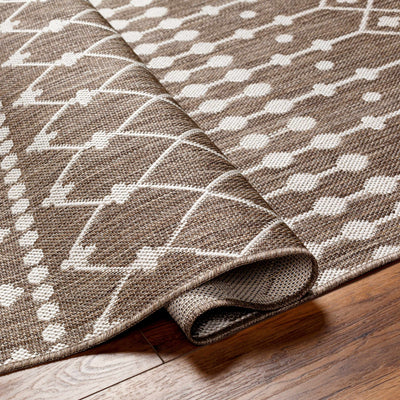 Lali Brown Area Rug