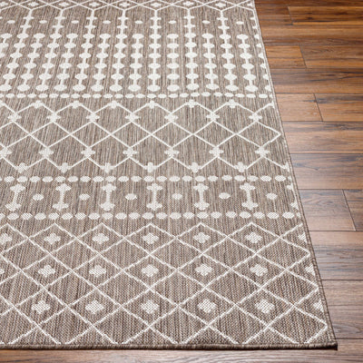 Lali Brown Area Rug