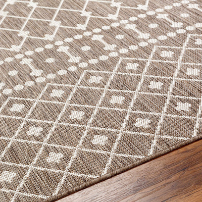 Lali Brown Area Rug