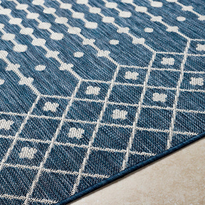 Lali Blue Area Rug - Clearance