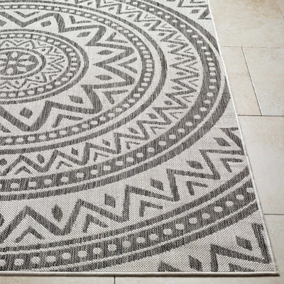 Naim Gray Area Rug - Clearance