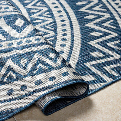 Naim Blue Area Rug - Clearance