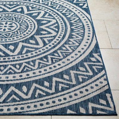 Naim Blue Area Rug - Clearance