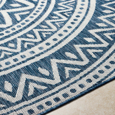 Naim Blue Area Rug - Clearance