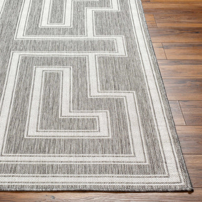 Taro Gray Area Rug - Clearance