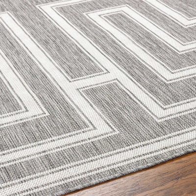 Taro Gray Area Rug - Clearance