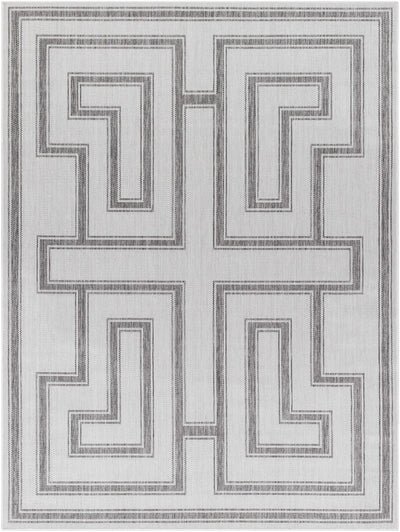 Taro Light Gray Area Rug - Clearance