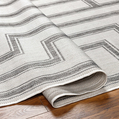 Taro Light Gray Area Rug - Clearance