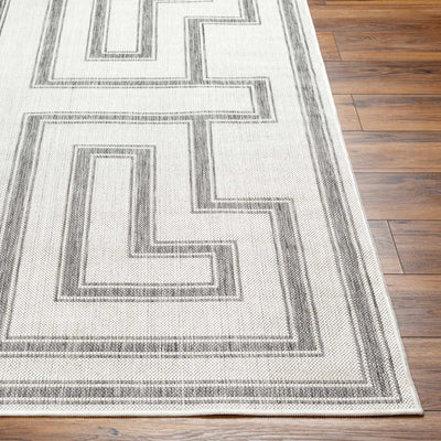 Taro Light Gray Area Rug - Clearance