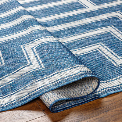 Taro Blue Area Rug - Clearance