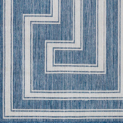 Taro Blue Area Rug - Clearance