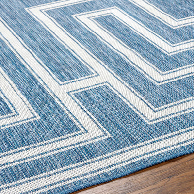 Taro Blue Area Rug - Clearance