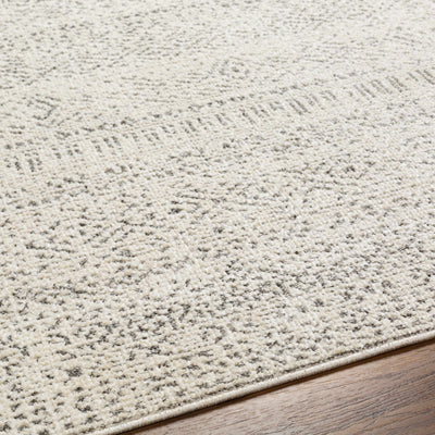 Truc Area Rug