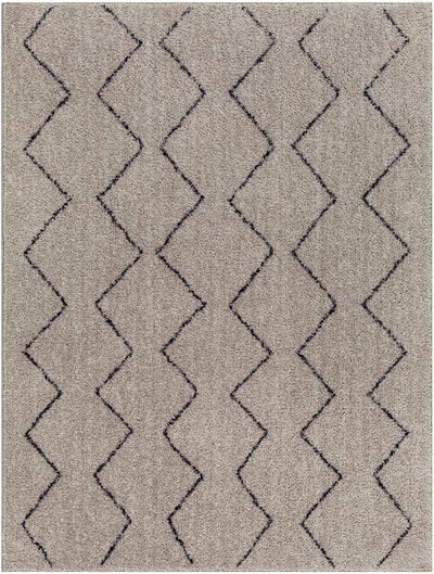 Amro Washable Area Rug