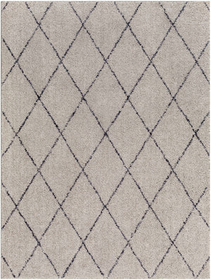 Deza Gray Washable Area Rug