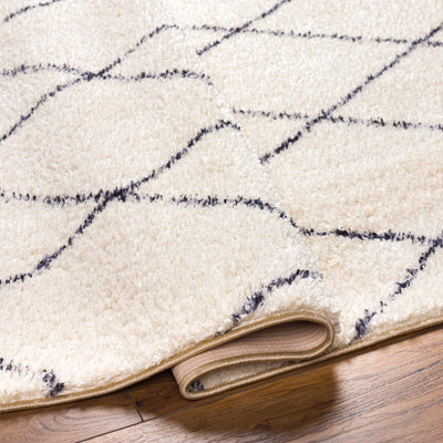 Deza Beige Washable Area Rug