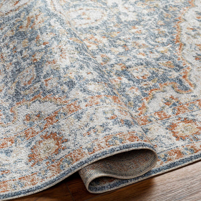 Agot Washable Area Rug - Clearance