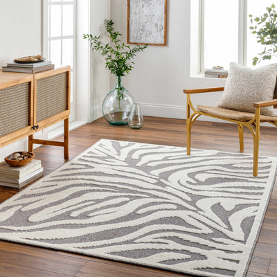 Keto Gray Zebra Print Area Rug - Clearance