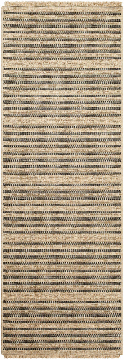 Aphea Indoor & Outdoor Rug