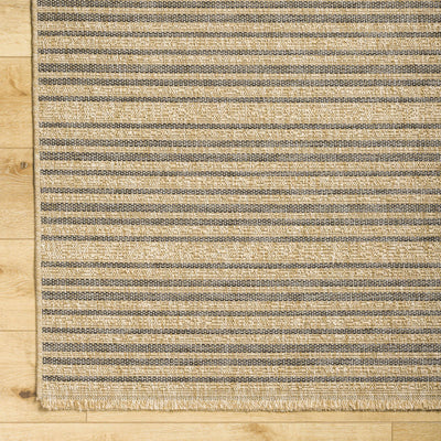 Aphea Indoor & Outdoor Rug