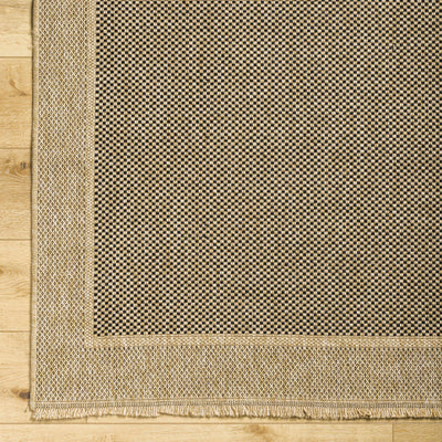 Giles Indoor & Outdoor Rug