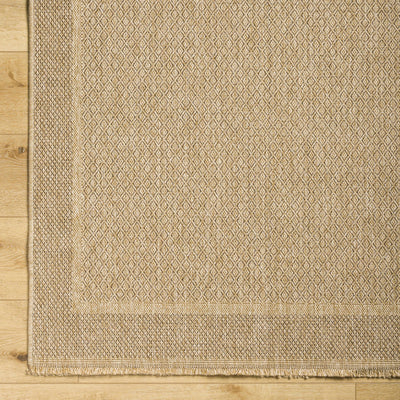 Ikuyo Indoor & Outdoor Rug