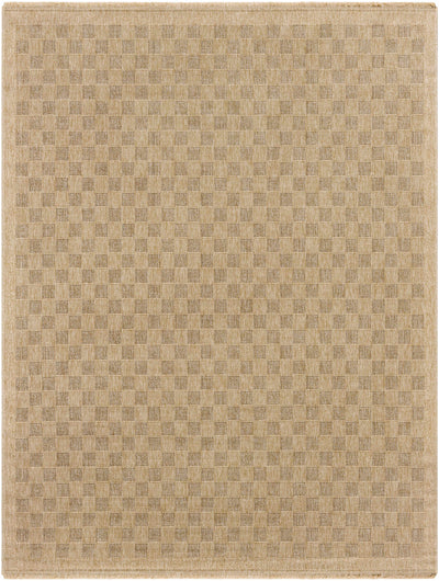 Jurek Beige Checkered Area Rug