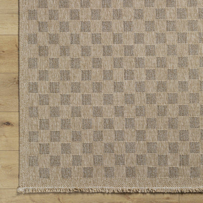 Jurek Beige Checkered Area Rug