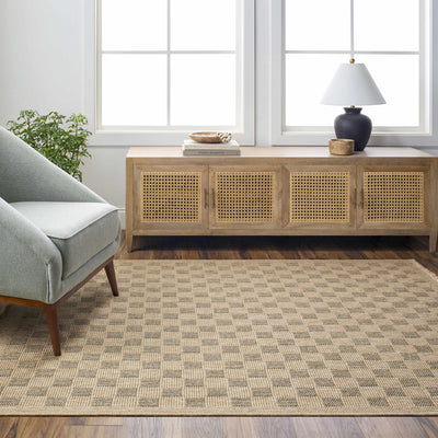 Jurek Beige & Brown Checkered Area Rug