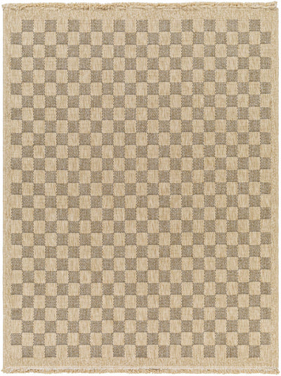 Jurek Beige & Brown Checkered Area Rug