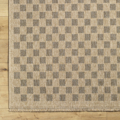 Jurek Beige & Brown Checkered Area Rug