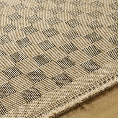 Jurek Beige & Brown Checkered Area Rug