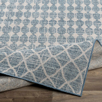 Blue Ivory Summit Area Rug