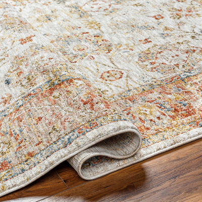 Duong Beige & Rust Area Rug