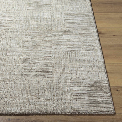 Goren Gray Area Rug