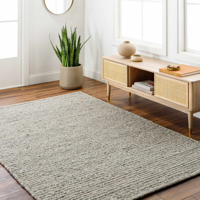 Gray Eleri Area Rug