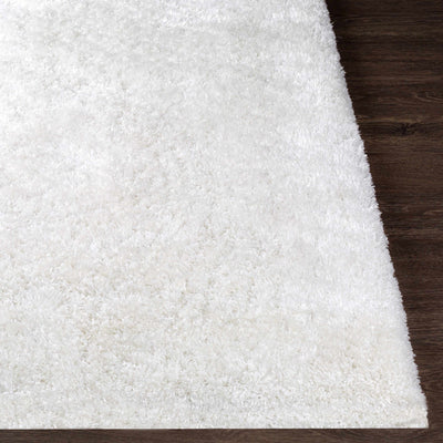 Sandbach Solid White Shag Rug