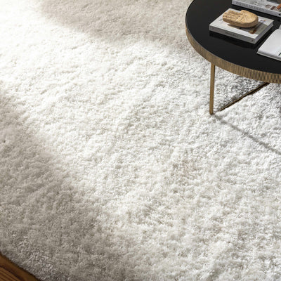 Sandbach Solid White Shag Rug