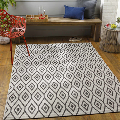 Sandgap Area Rug - Clearance