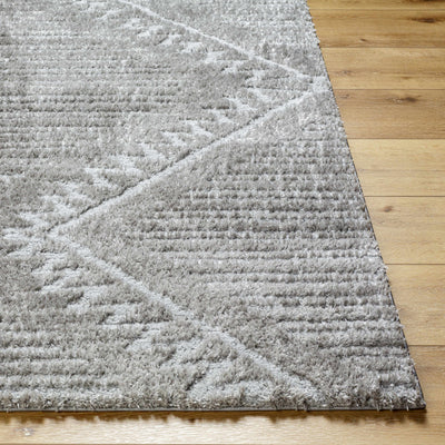 Edsel Gray Area Rug