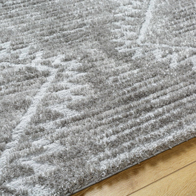 Edsel Gray Area Rug