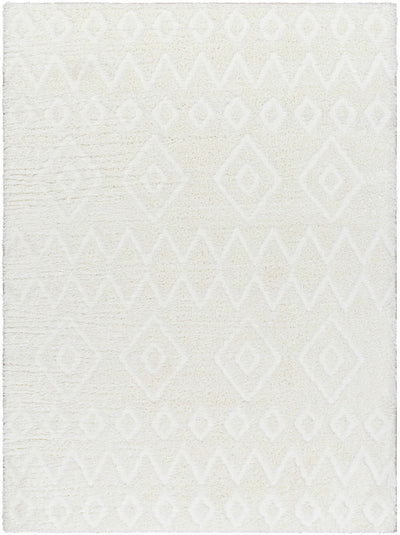 Hoshi Area Rug