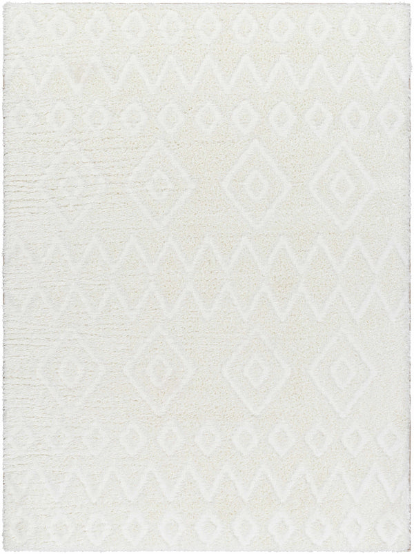 Hoshi Area Rug