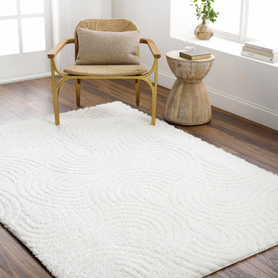 Kaoru Area Rug