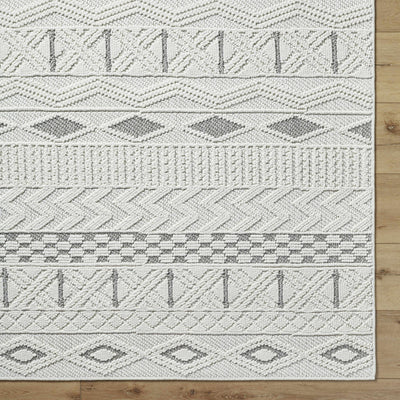 Sokka Area Rug