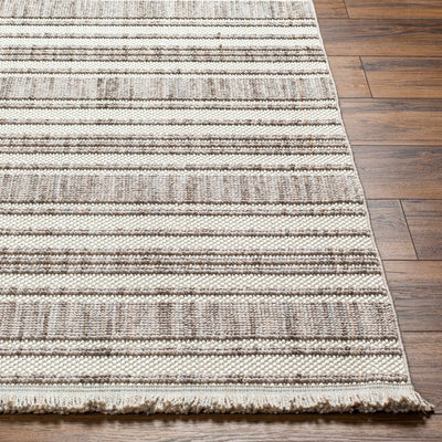 Avari Area Rug