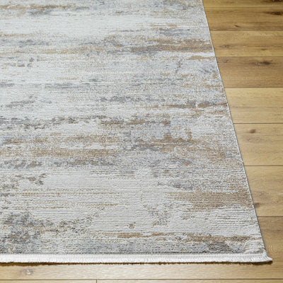 Braun Area Rug