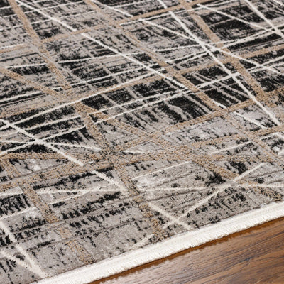 Fayre Area Rug